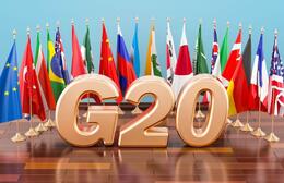         G20