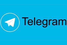 Telegram      Wildberries